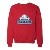 Unisex Dri Power® Crewneck Sweatshirt Thumbnail