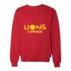 Unisex Dri Power® Crewneck Sweatshirt Thumbnail