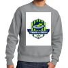 Reverse Weave ® Garment Dyed Crewneck Sweatshirt Thumbnail