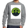 Reverse Weave ® Garment Dyed Crewneck Sweatshirt Thumbnail