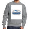 Reverse Weave ® Garment Dyed Crewneck Sweatshirt Thumbnail