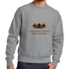 Reverse Weave ® Garment Dyed Crewneck Sweatshirt Thumbnail