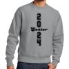 Reverse Weave ® Garment Dyed Crewneck Sweatshirt Thumbnail