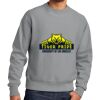 Reverse Weave ® Garment Dyed Crewneck Sweatshirt Thumbnail