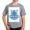 Youth Fan Favorite Tee Thumbnail