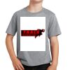 Youth Fan Favorite Tee Thumbnail